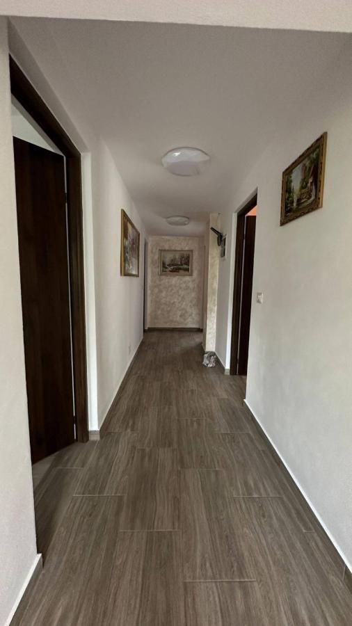 Casa M&M Lägenhet Vişeu de Sus Exteriör bild